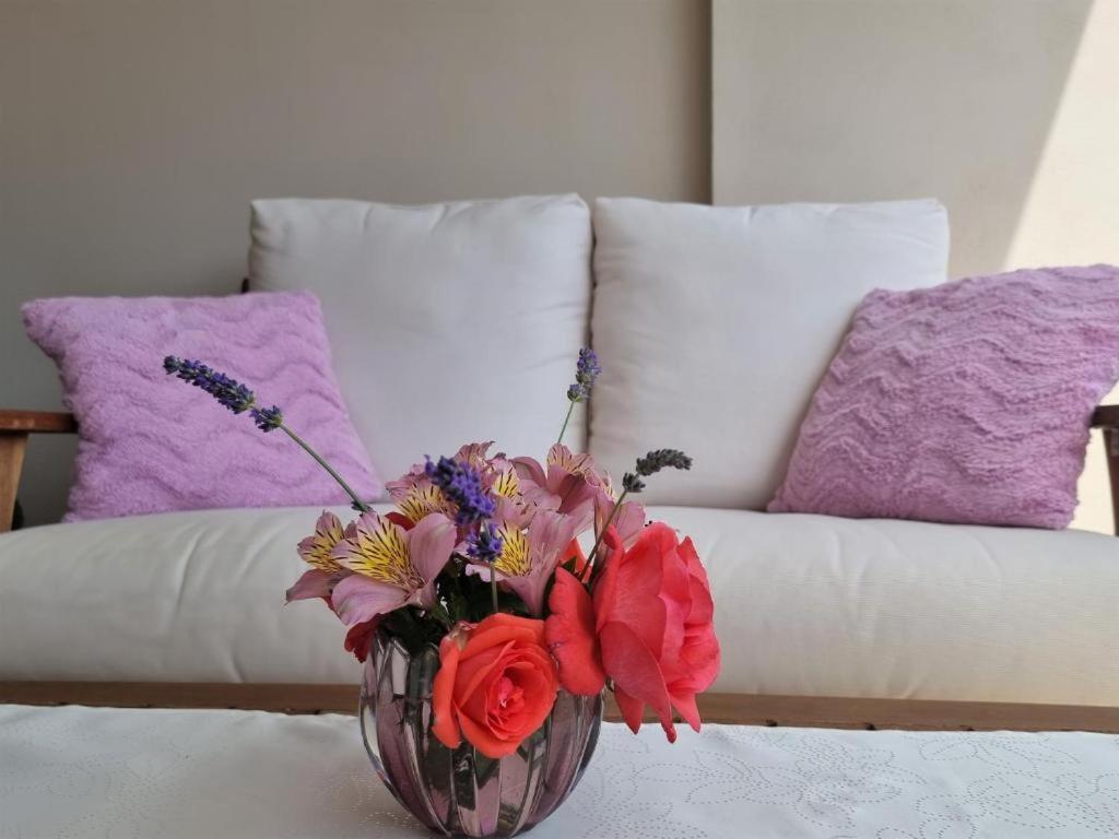 Apartments Ragusa Rovinj Dış mekan fotoğraf